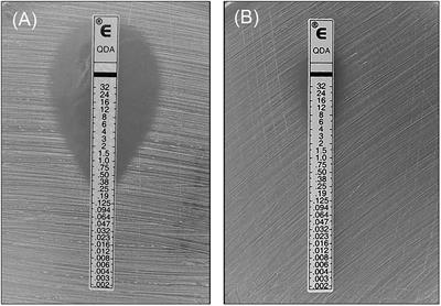 A Conjugative MDR pMG1-Like Plasmid Carrying the lsa(E) Gene of Enterococcus faecium With Potential Transmission to Staphylococcus aureus